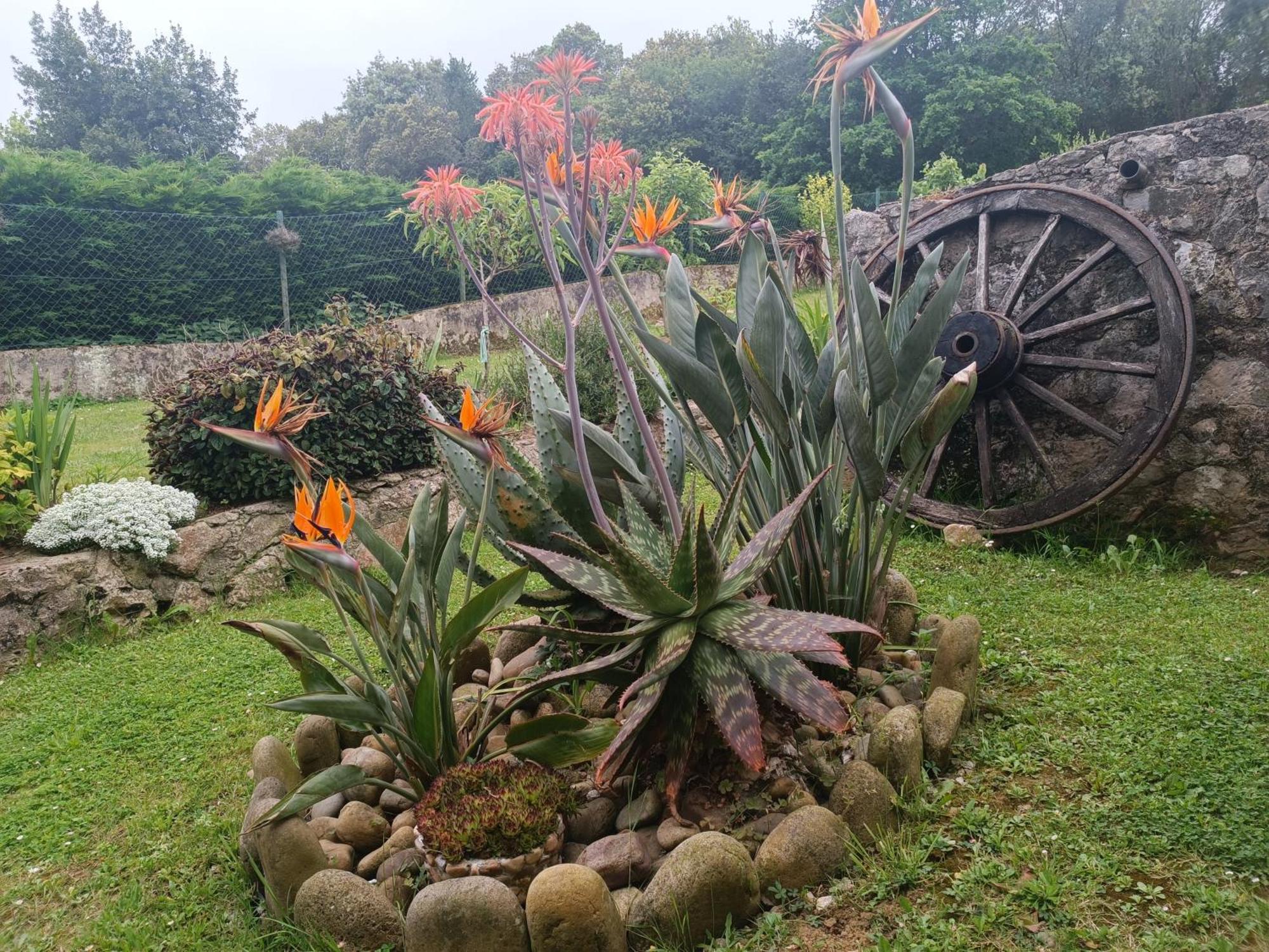 Casa Coba Villa Camijanes Exterior photo